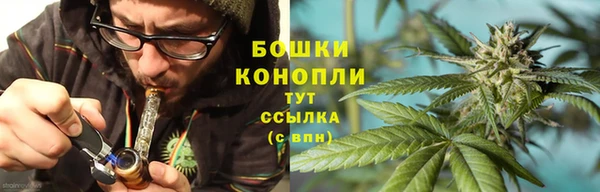 PSILOCYBIN Новозыбков