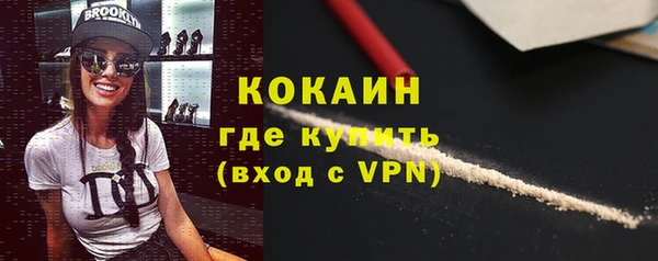 стаф Новодвинск
