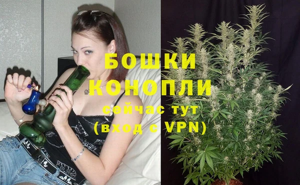 ALPHA PVP Нефтекумск