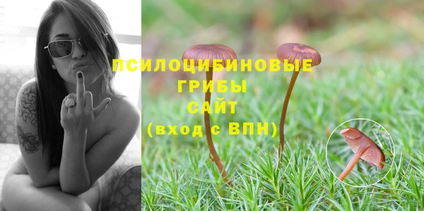 стаф Новодвинск