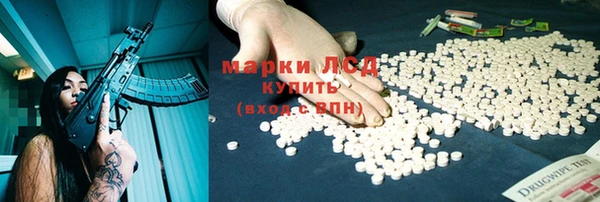 PSILOCYBIN Новозыбков