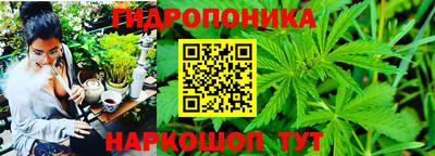 сатива Комсомольск-на-Амуре
