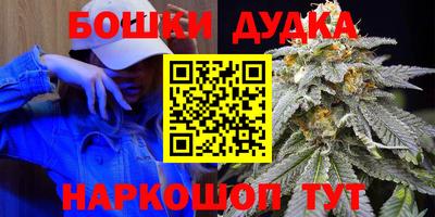 сатива Комсомольск-на-Амуре