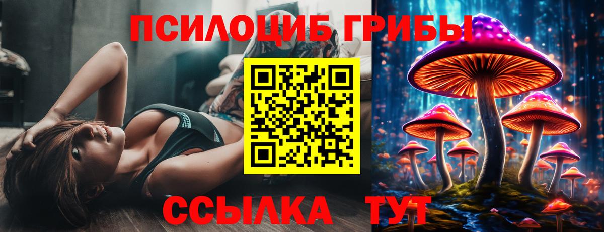 Галлюциногенные грибы MAGIC MUSHROOMS  Псилоцибиновые грибы GOLDEN TEACHER  Полевской 