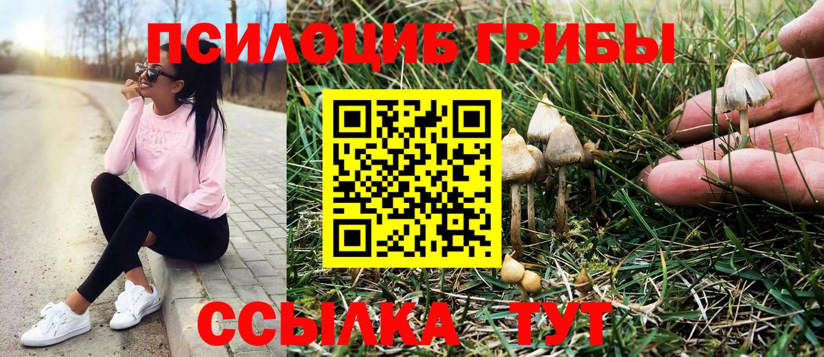 Галлюциногенные грибы прущие грибы Полевской