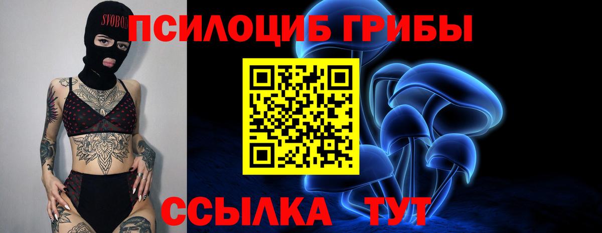 Псилоцибиновые грибы Magic Shrooms  Вход с VPN  Полевской 